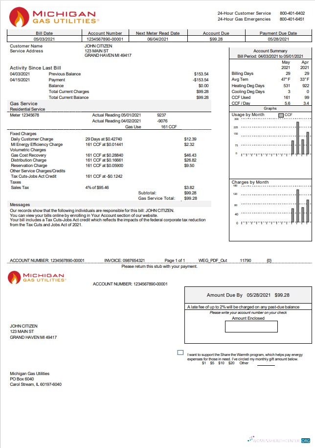 download USA Michigan Gas Utilities utility bill template in Word and PDF format version 2 PDF template
